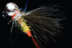 BUG-NYMPH