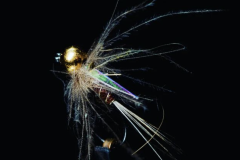 Magic-Nymph