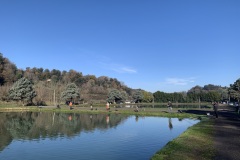 IMG_8940