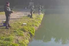 e78fb07d-b2bd-4fd4-955d-477f35913ee2